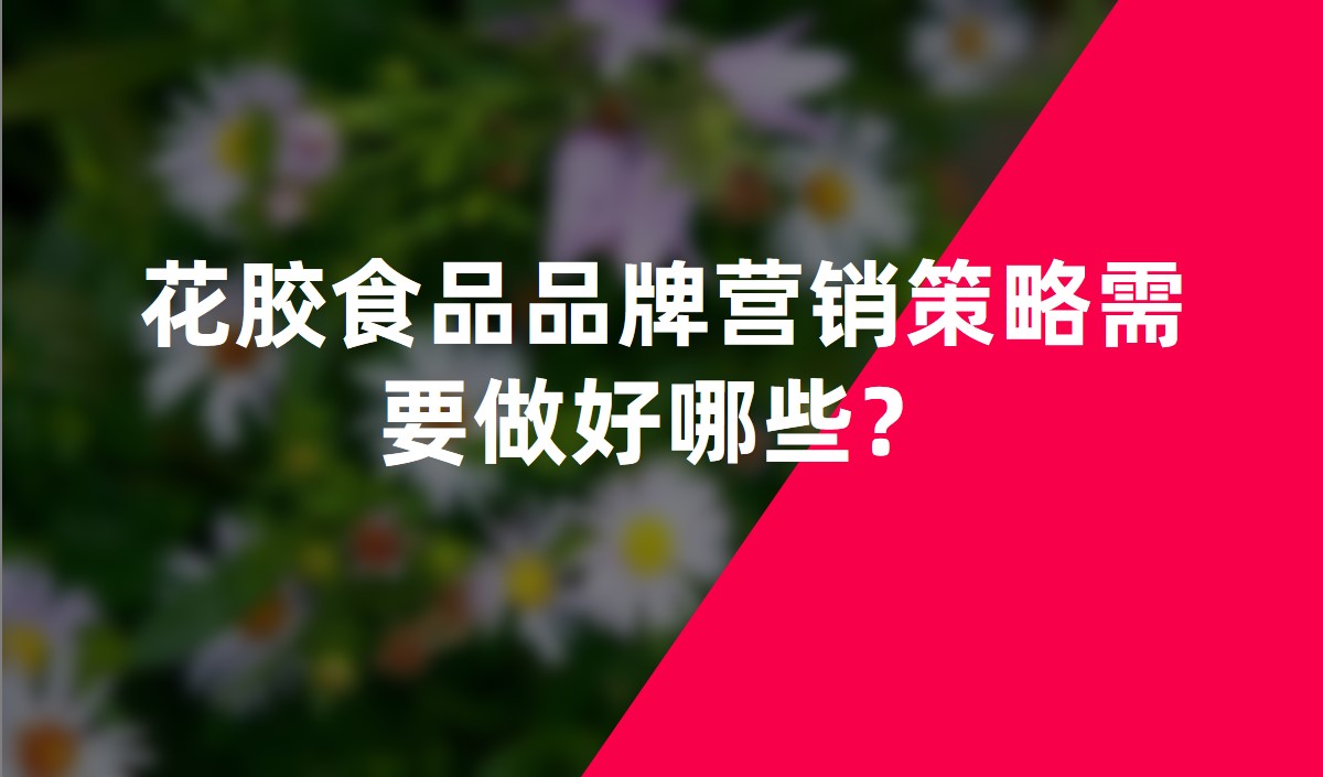 花膠食品品牌營(yíng)銷(xiāo)策略需要做好哪些？
