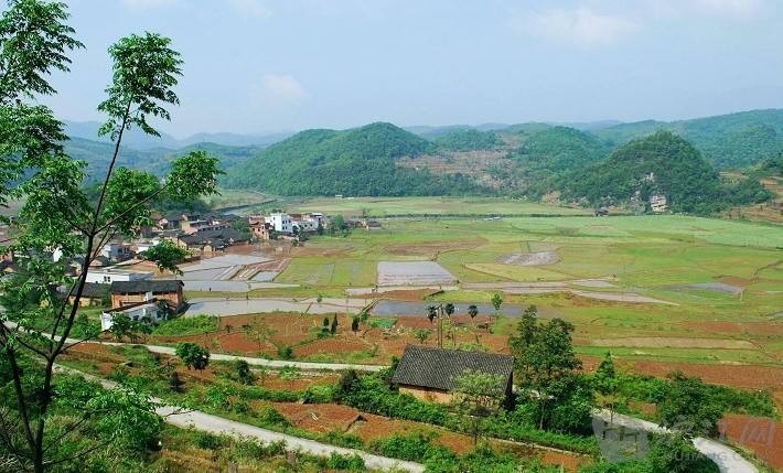 農業(yè)品牌，鄉(xiāng)村品牌建設，鄉(xiāng)村產業(yè)正在廣袤農村蓬勃興起