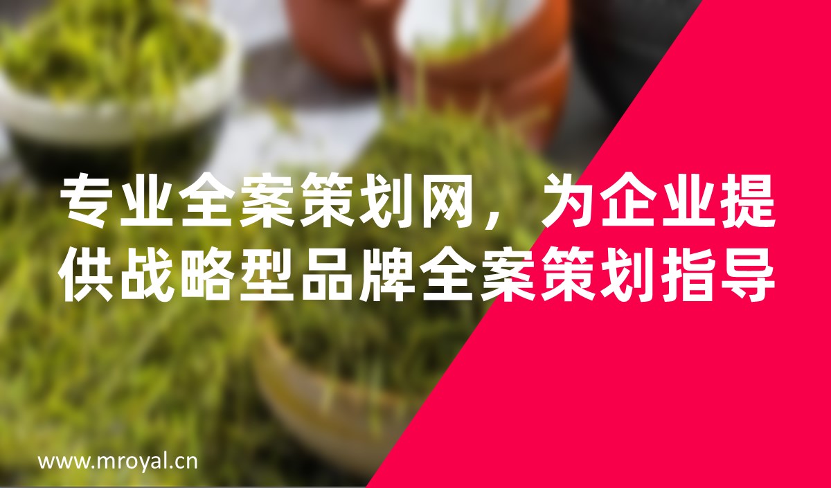 專業(yè)全案策劃網(wǎng)，為企業(yè)提供戰(zhàn)略型品牌全案策劃指導(dǎo)