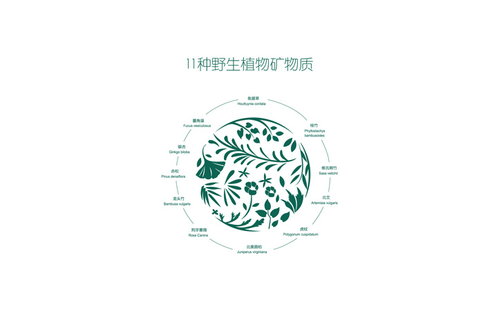 化妝品品牌設(shè)計