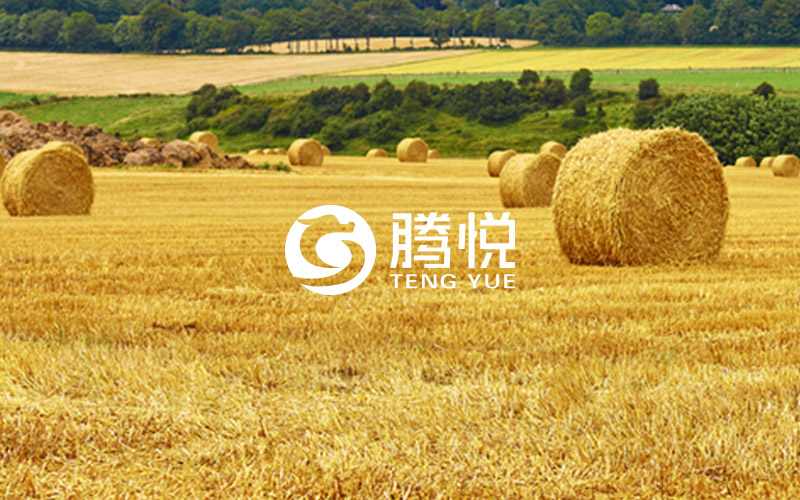 肥料品牌策劃，騰悅肥料