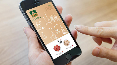 農(nóng)業(yè)品牌策劃