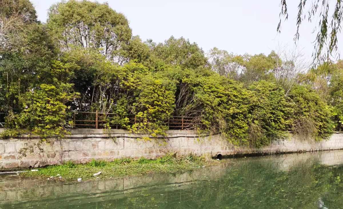首屆陜西省農業(yè)品牌設計大賽正式啟動