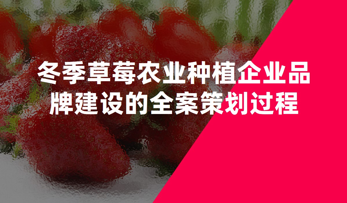 冬季草莓農(nóng)業(yè)種植企業(yè)品牌建設(shè)的全案策劃過(guò)程
